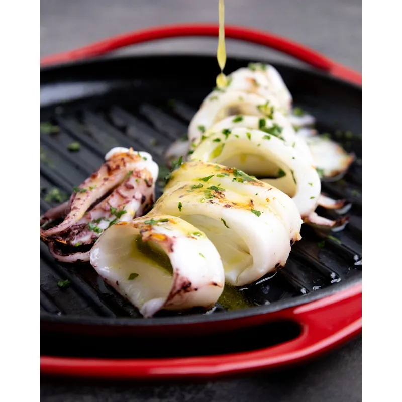 Grelhador grill GR25 Fogo