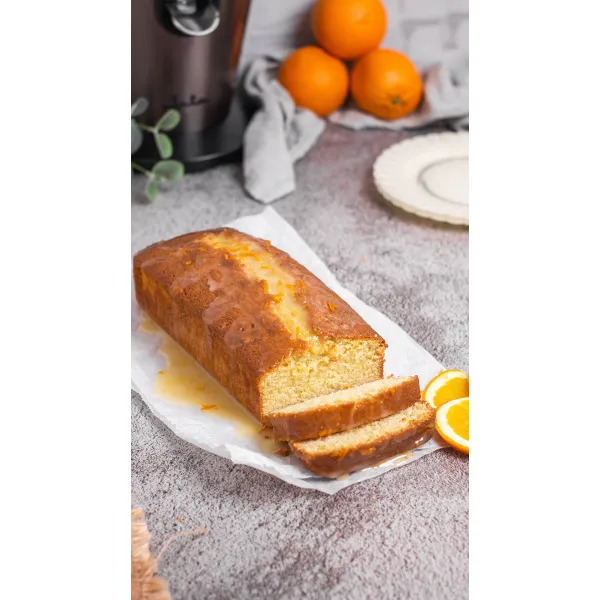 Espremedor de sumos de aço inoxidável com braço EX1057