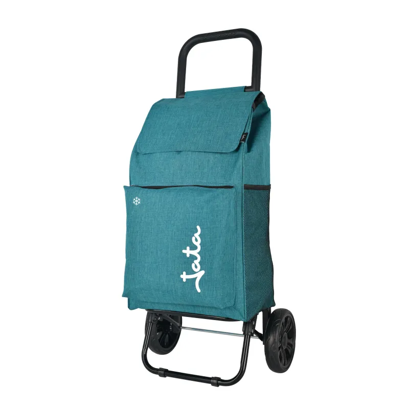 Carrinho De Compras de 2 Rodas HCAR2563 (6)