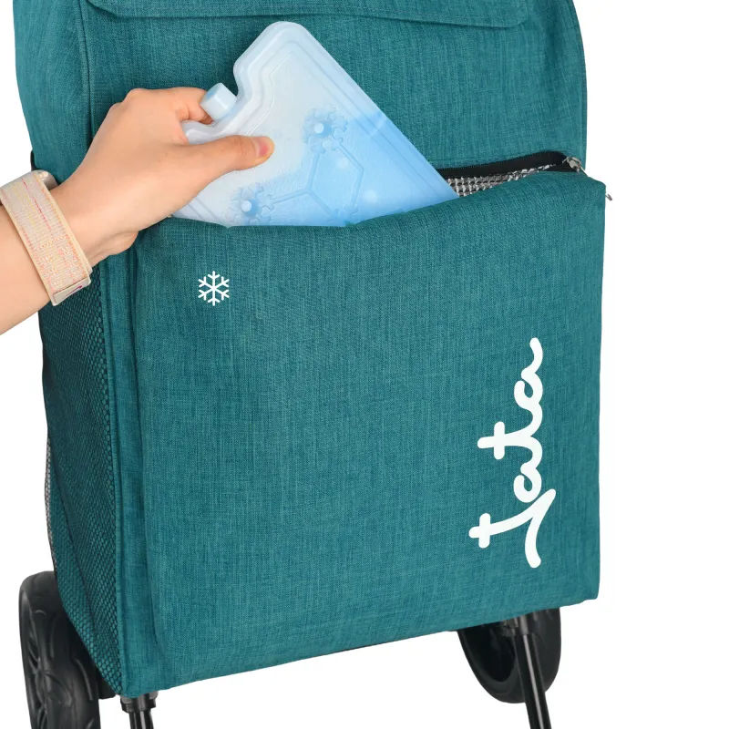 Carrinho De Compras de 2 Rodas HCAR2563 (6)