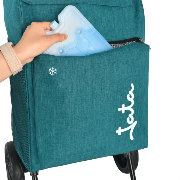 Carrinho De Compras de 2 Rodas HCAR2563 (6)