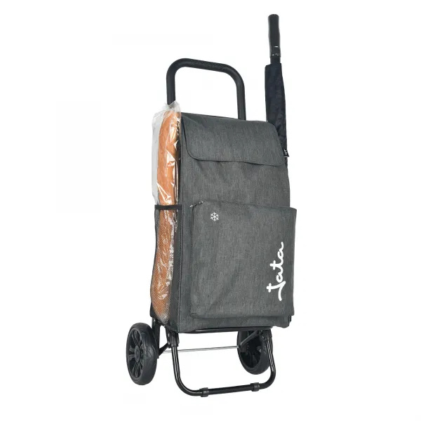 Carrinho de Compras de 2 Rodas HCAR2564 (6))