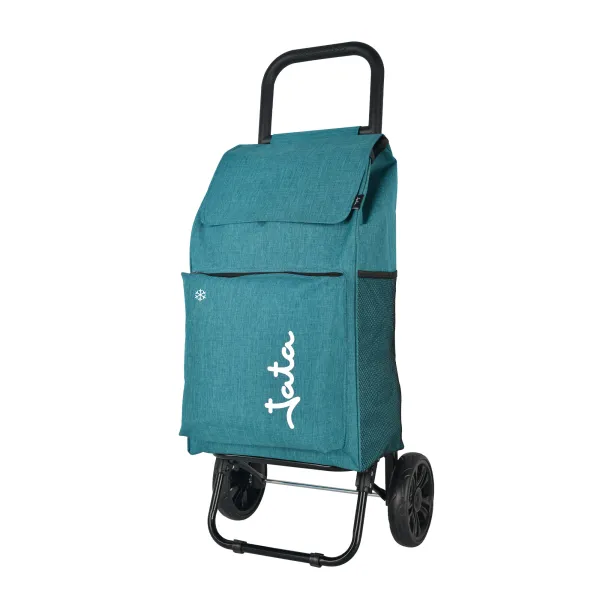 Carrinho de Compras 2 Rodas HCAR2523