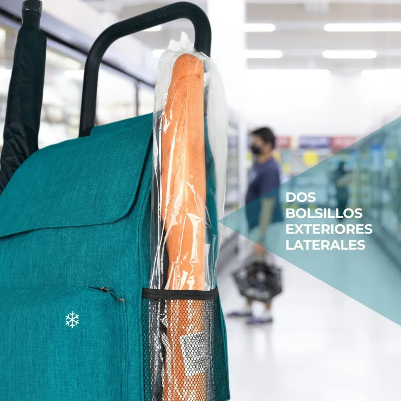 Carrinho de Compras 2 Rodas HCAR2523