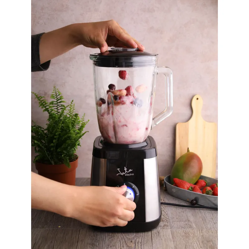 Blender BT604N