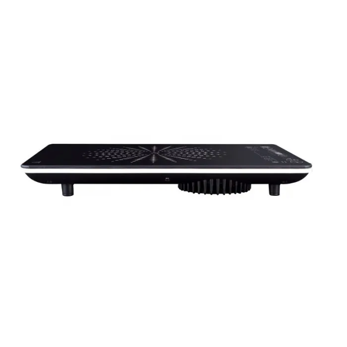 Induction electric cooker VIN145 2