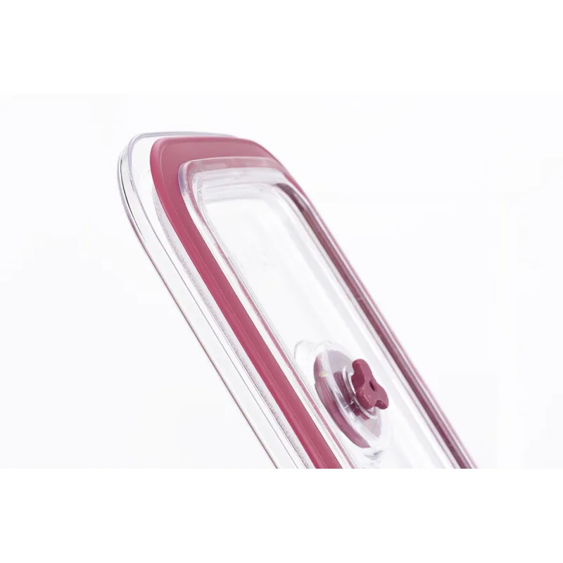 Tempered glass containers HREC4205