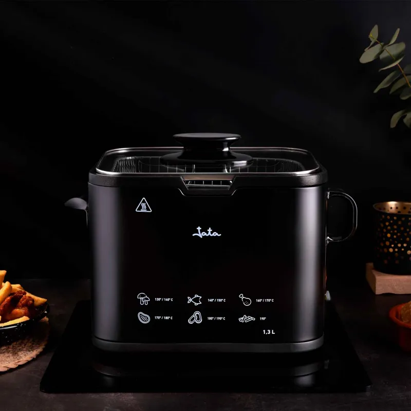 Inox deep fryer FR5600