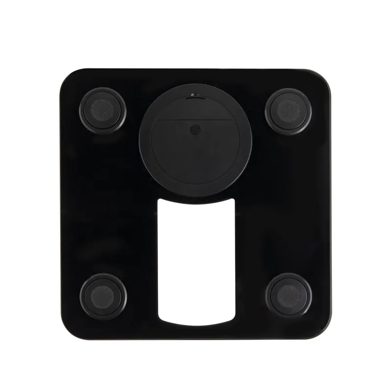 Electronic glass scale HBAS1416