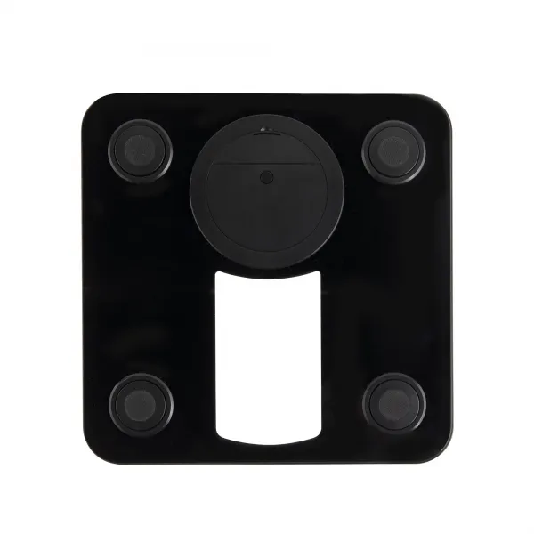 Electronic glass scale HBAS1416