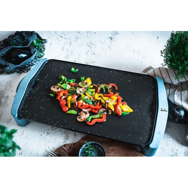 Roasting griddle GR2500AM
