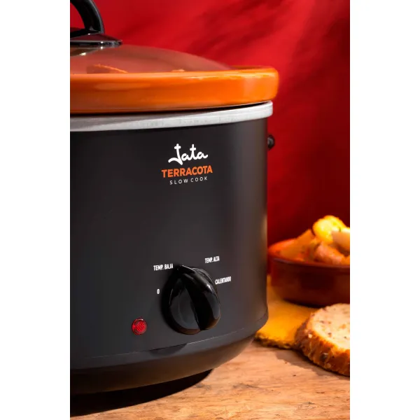 Slow cooker JEOL2135