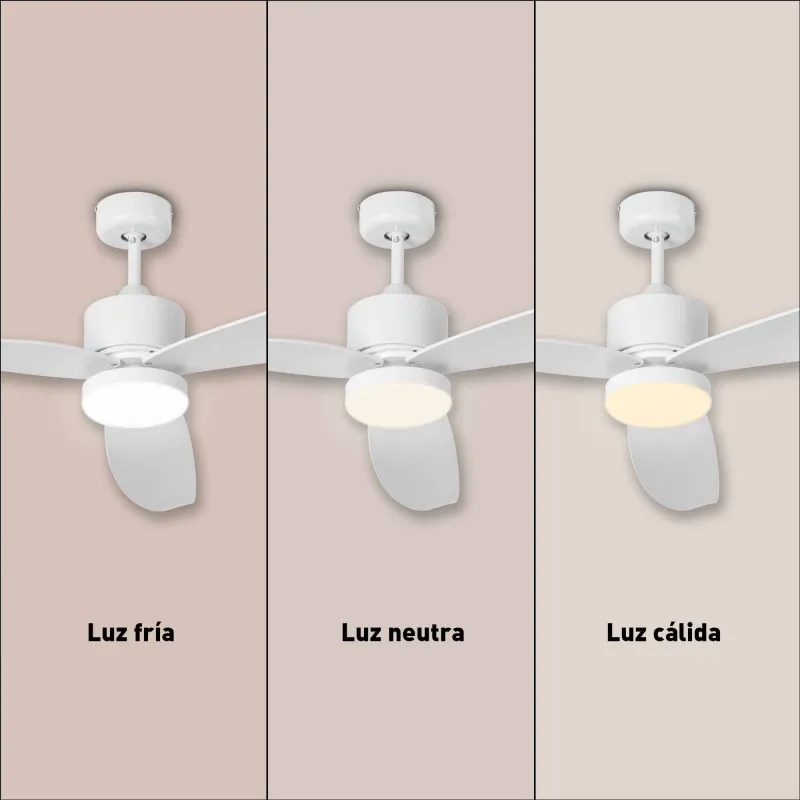 Ceiling fan JVTE4231