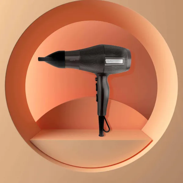 AC motor ionic hair dryer JBSC1290
