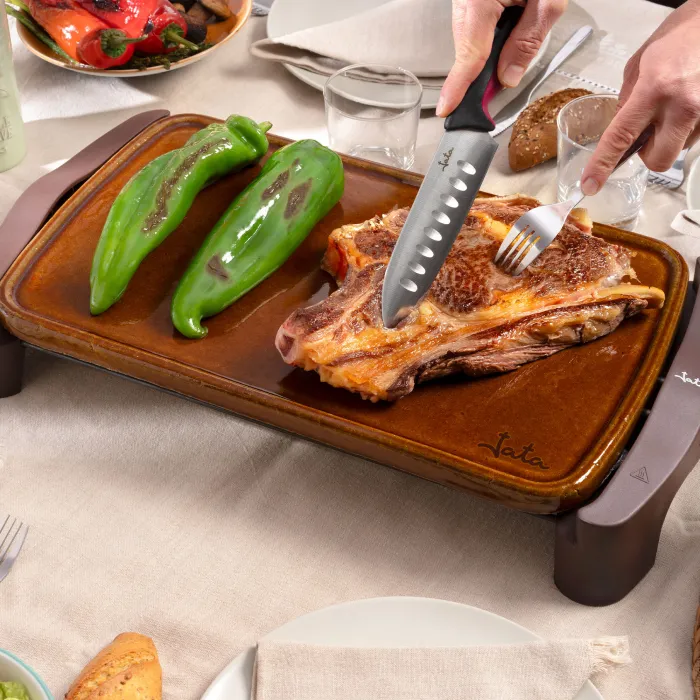 Roasting griddle GR559 2