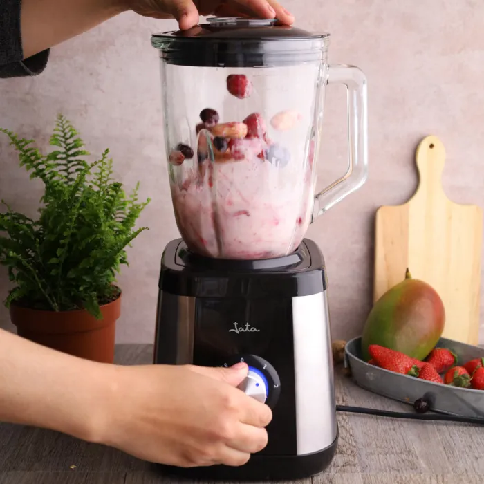 Blender BT604N