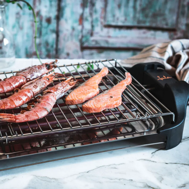 Electro barbecue BQ101