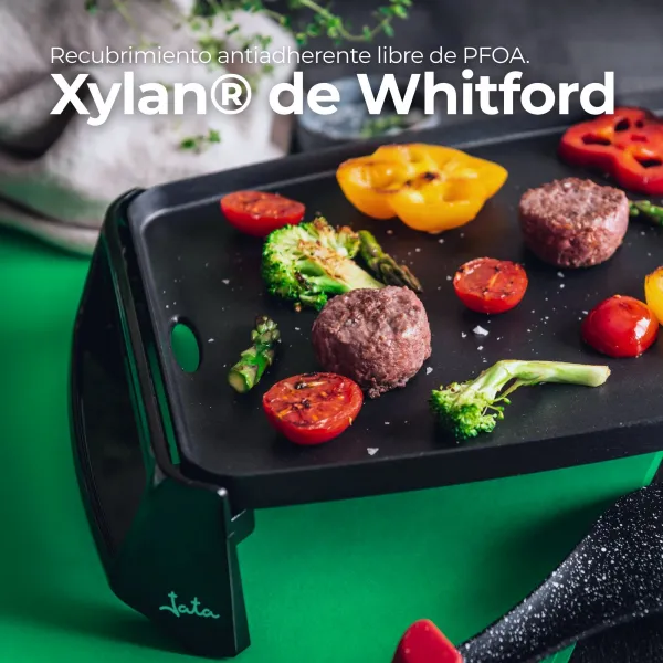 Electric grill GR195