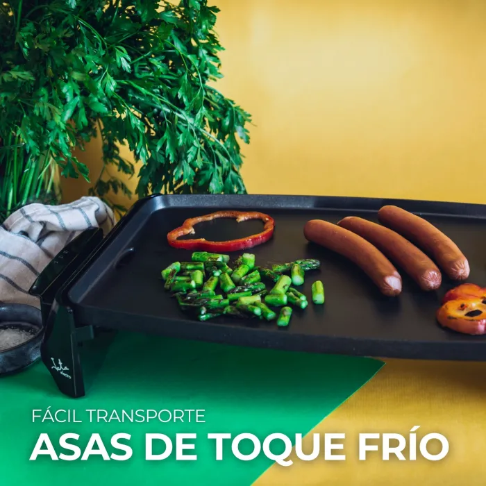 Electric grill GR195 2