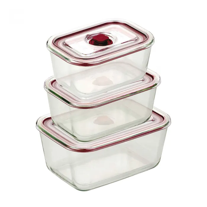 Tempered glass containers HREC4204 2