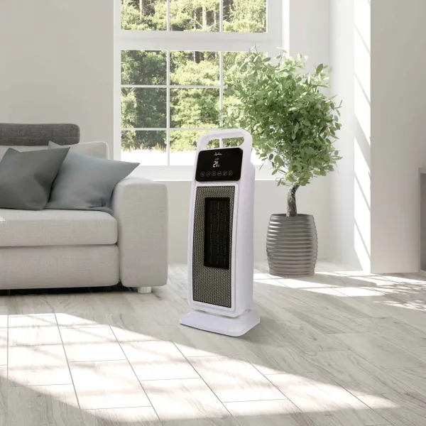 Ceramic heater JCTC2102