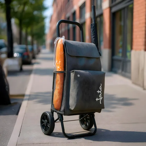 2-Wheel Shopping Cart HCAR2524