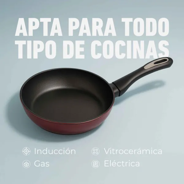 Fry pan TAAL SF918 / SF920 / SF922 / SF924 / SF926 / SF928 / SF930