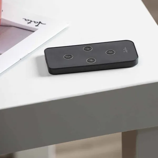 Stand fan with remote control JVVP3063