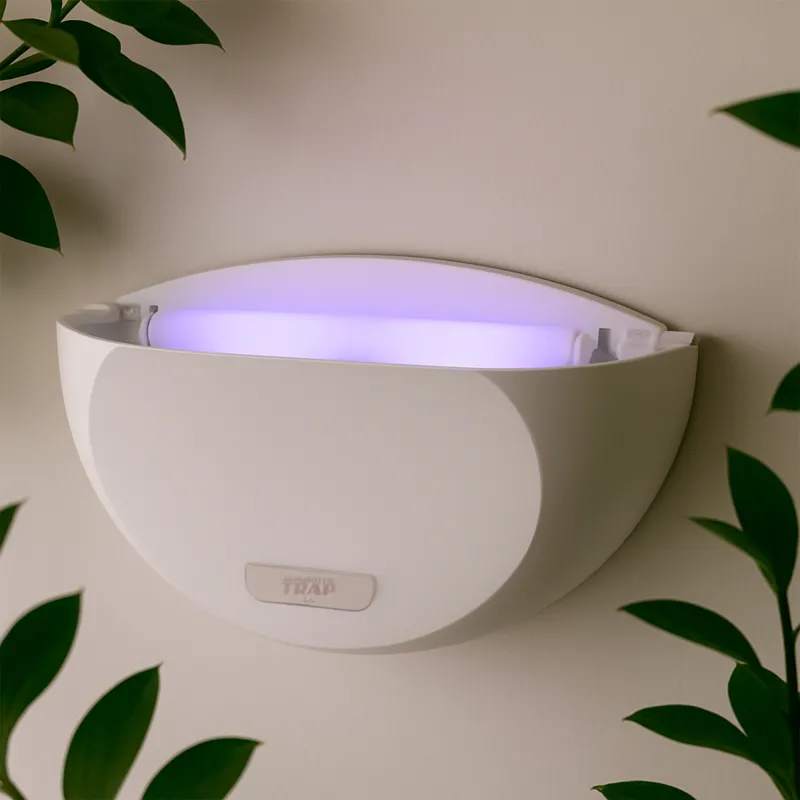 Wall-mounted insect trap with adhesive sheet...