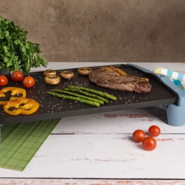 Roasting griddle GR2500AM