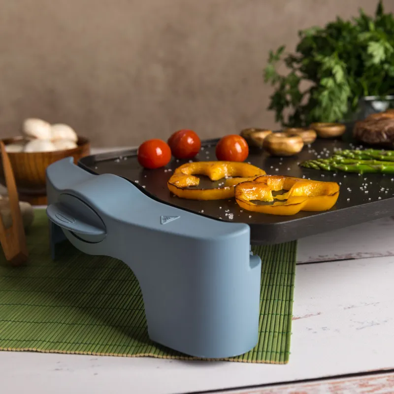 Roasting griddle GR2500AM