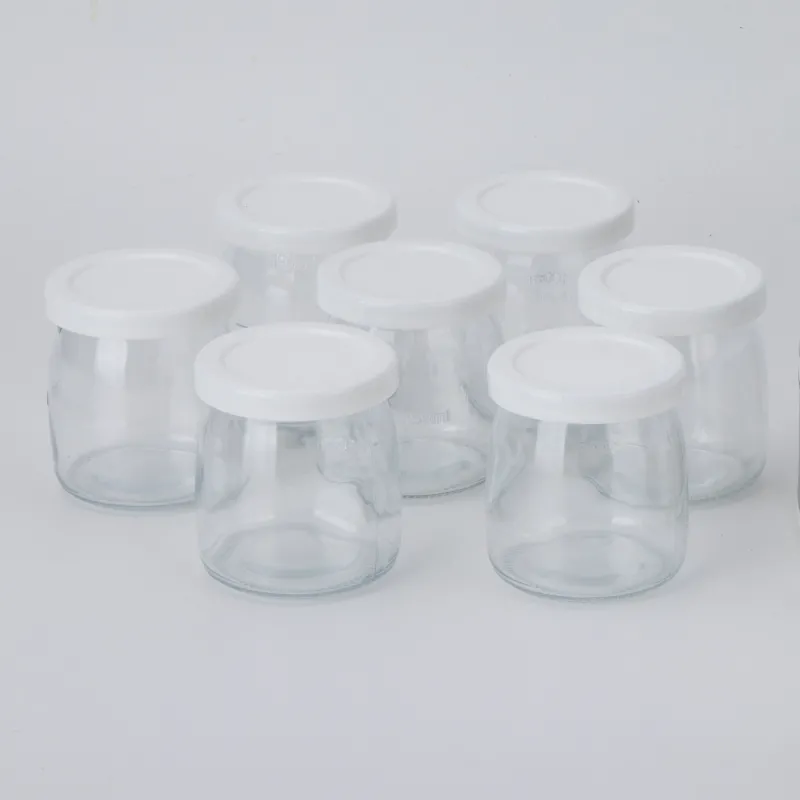 Yogurt maker JEYG2266