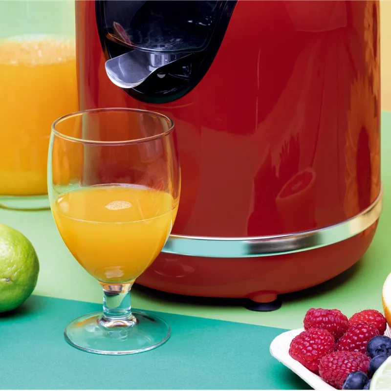 Inox citrus juicer with handle JEEX1059