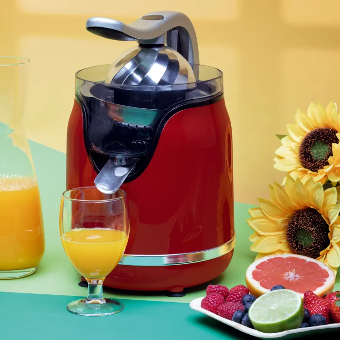 Inox citrus juicer with handle JEEX1059 2