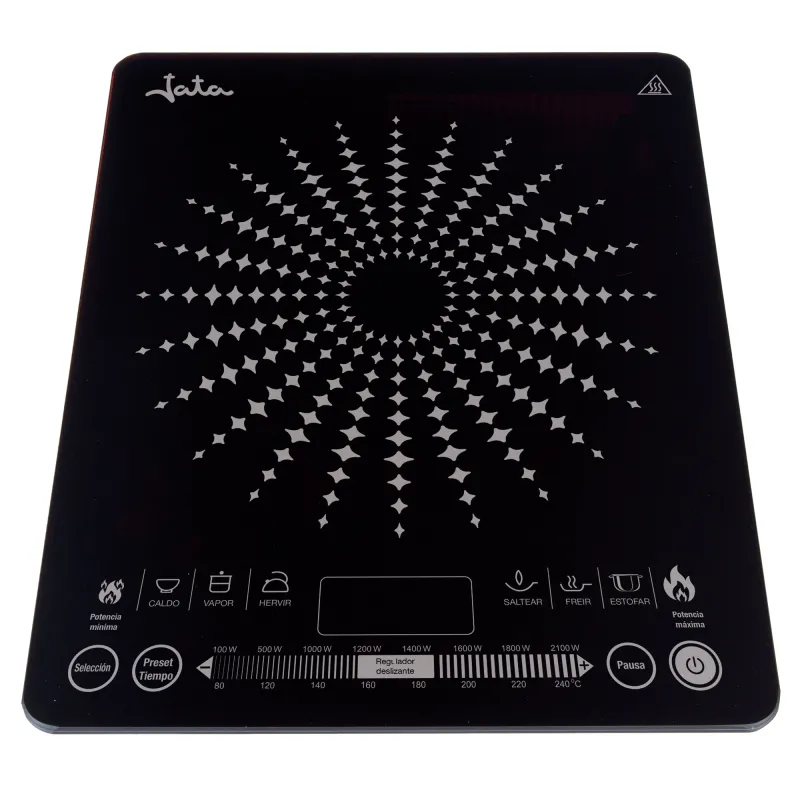 Induction electric cooker VIN145