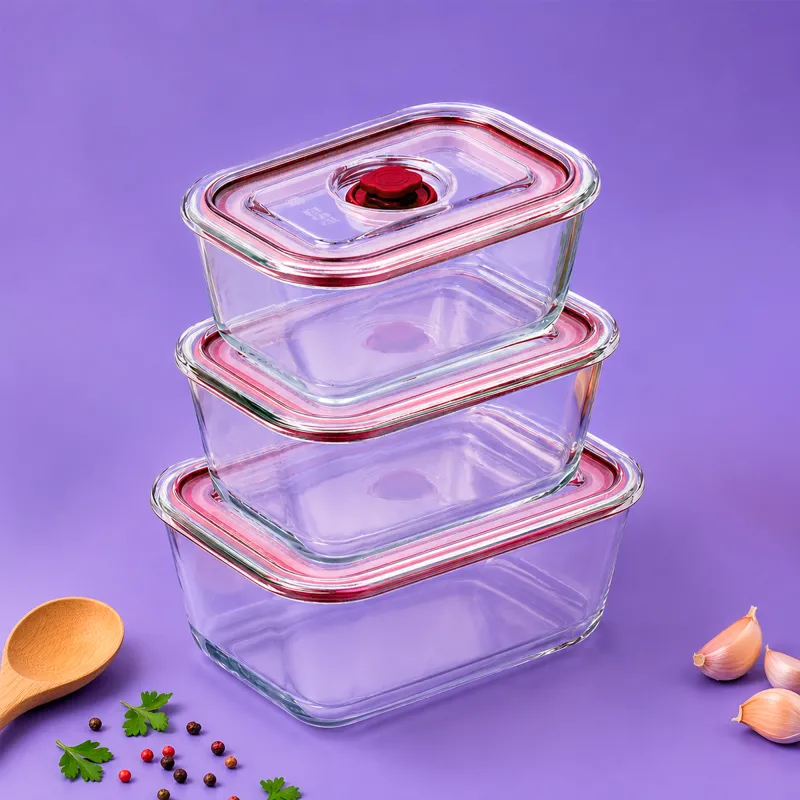 Tempered glass container HREC4200 / HREC4201 /...
